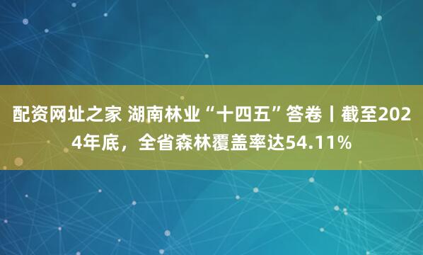 配资网址之家 湖南林业“十四五”答卷丨截至2024年底，全省森林覆盖率达54.11%