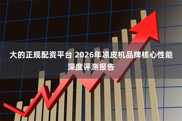 大的正规配资平台 2026年凉皮机品牌核心性能深度评测报告
