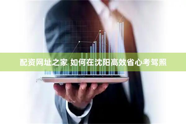 配资网址之家 如何在沈阳高效省心考驾照